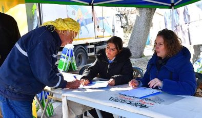 İzmir’de zeytinde hastalık bitti verim arttı